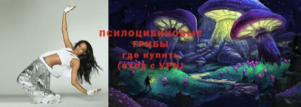 ГАЛЛЮЦИНОГЕННЫЕ ГРИБЫ Абаза