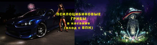 дживик Россошь