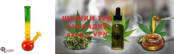 ГАЛЛЮЦИНОГЕННЫЕ ГРИБЫ Абаза