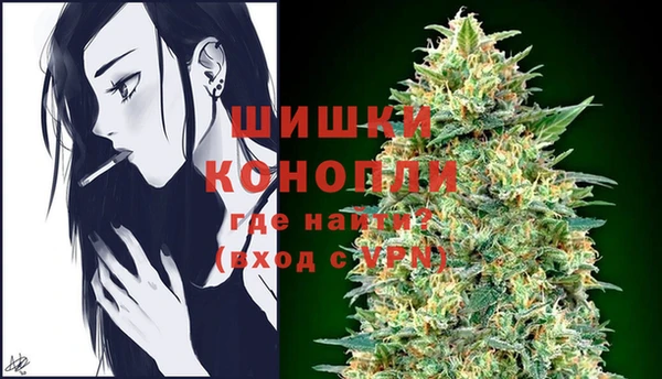 ГАЛЛЮЦИНОГЕННЫЕ ГРИБЫ Абаза