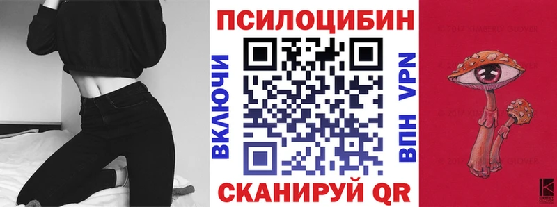 Псилоцибиновые грибы GOLDEN TEACHER  наркошоп  ОМГ ОМГ зеркало  Бирюсинск 